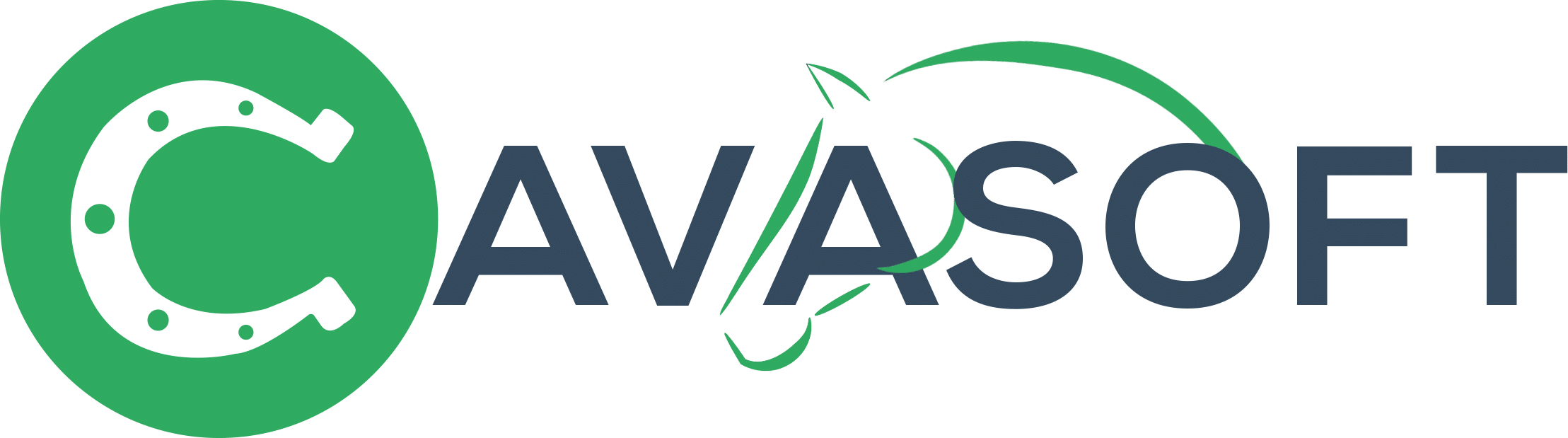 Logo cavasoft